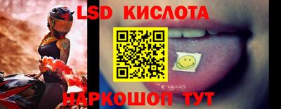 амф Донской